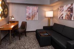 SpringHill Suites by Marriott Pittsburgh North Shore
